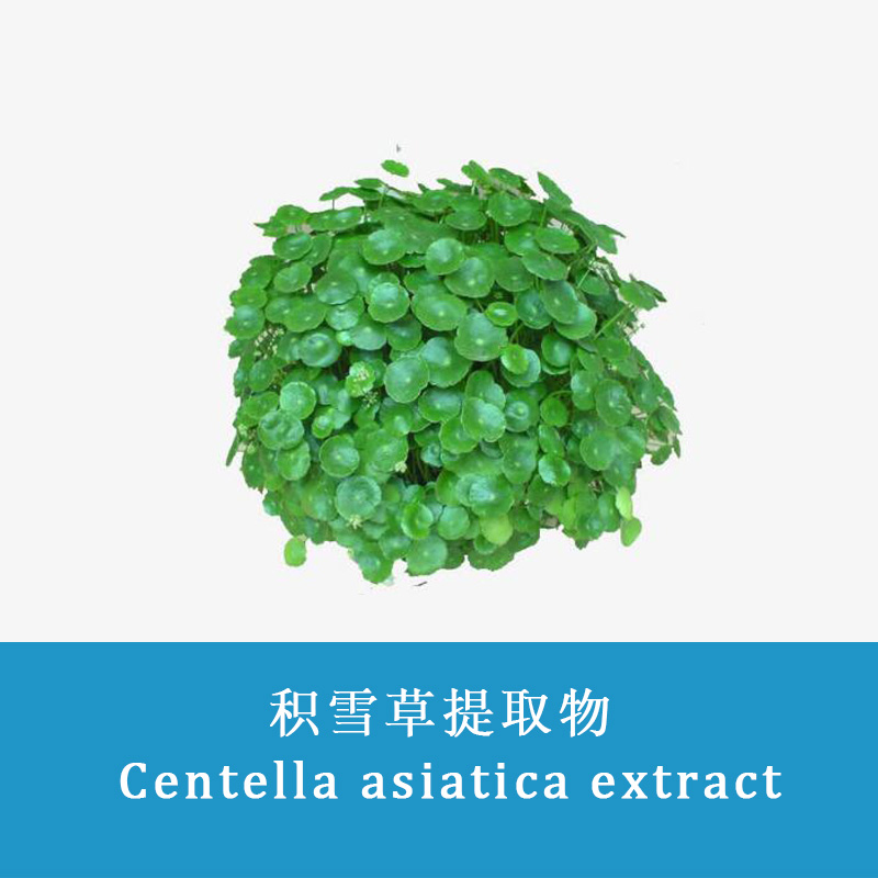 Centella asiatica extract