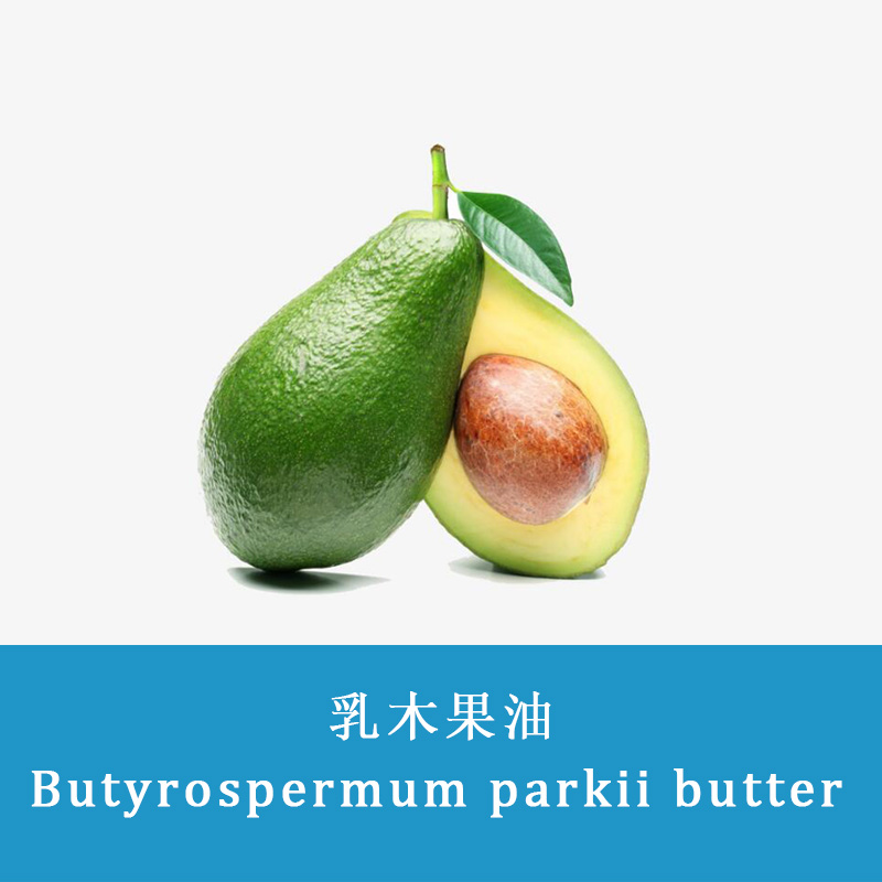 Butyrospermum Parkii （shea butter)