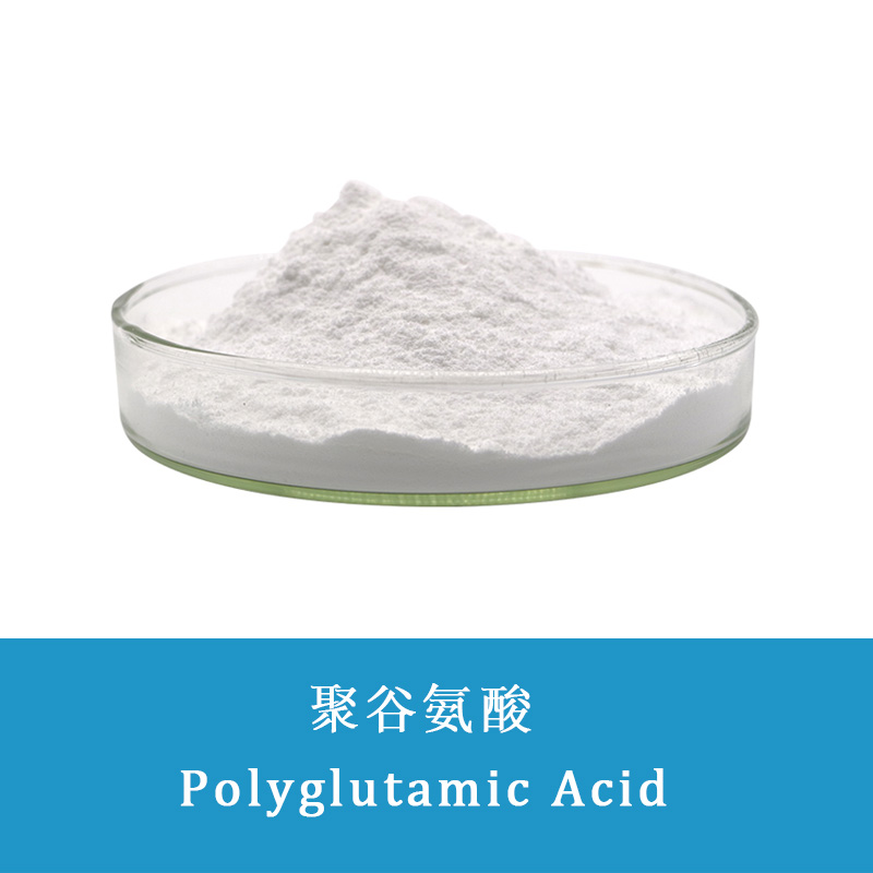 γ-Polyglutamic acid pga